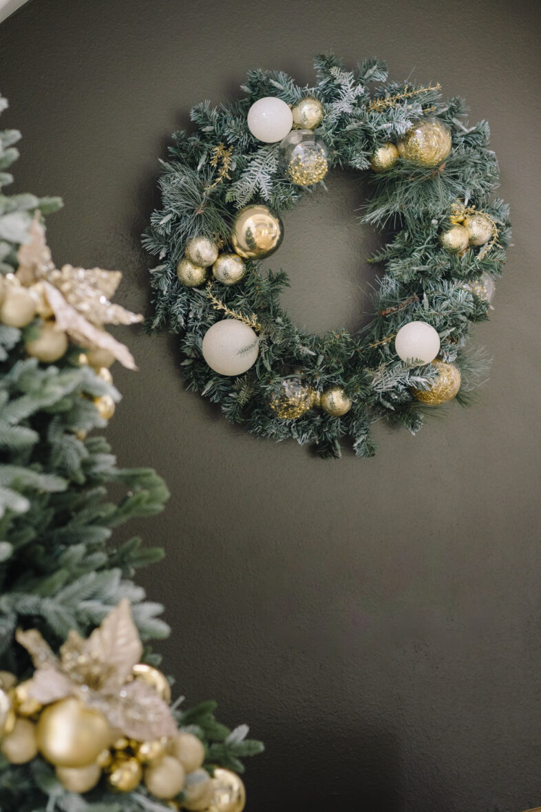 Christmas mini session solarium studio setup